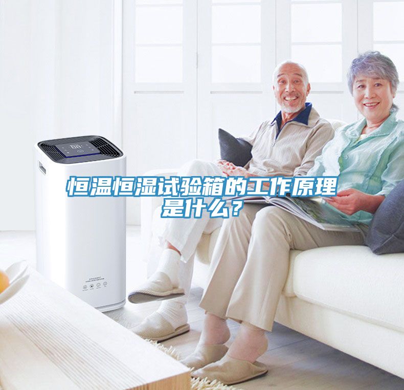 恒温恒湿试验箱的工作原理是什么？