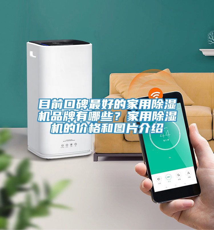 目前口碑最好的家用MR.好色破解版品牌有哪些？家用MR.好色破解版的价格和图片介绍