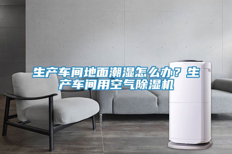 生产车间地面潮湿怎么办？生产车间用空气MR.好色破解版