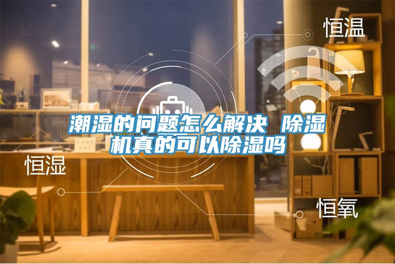 潮湿的问题怎么解决 MR.好色破解版真的可以除湿吗