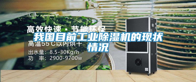 我国目前工业MR.好色破解版的现状情况