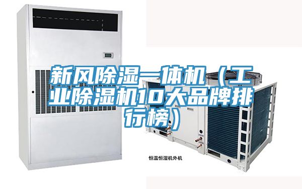 新风除湿一体机（工业MR.好色破解版10大品牌排行榜）
