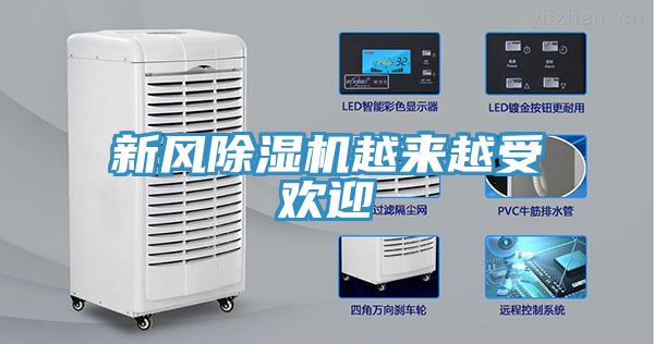 新风MR.好色破解版越来越受欢迎