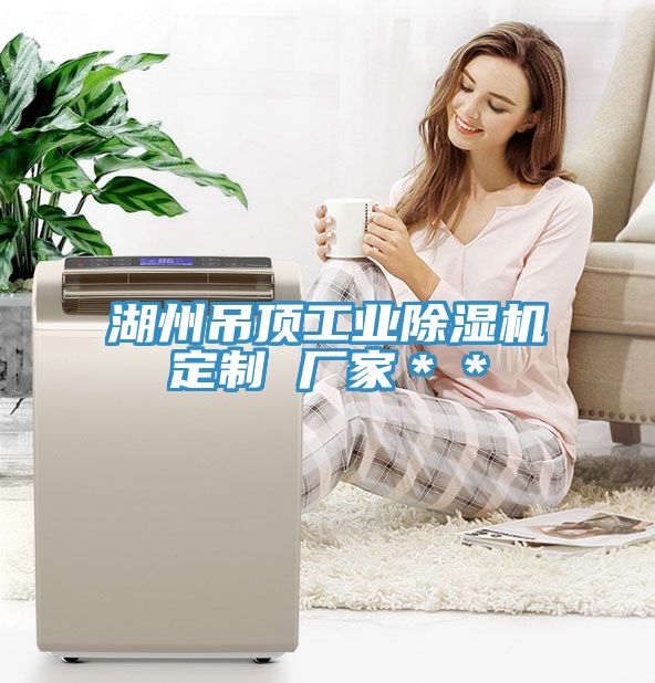 湖州吊顶工业MR.好色破解版定制 厂家＊＊