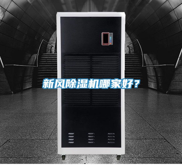 新风MR.好色破解版哪家好？