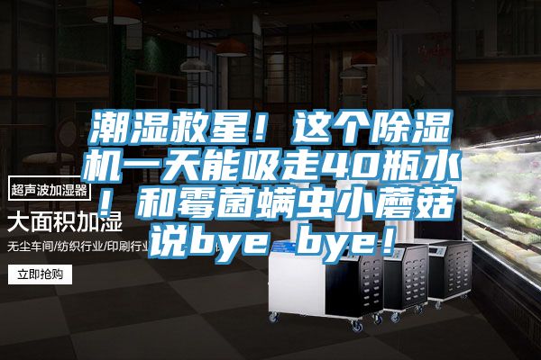 潮湿救星！这个MR.好色破解版一天能吸走40瓶水！和霉菌螨虫小蘑菇说bye bye！