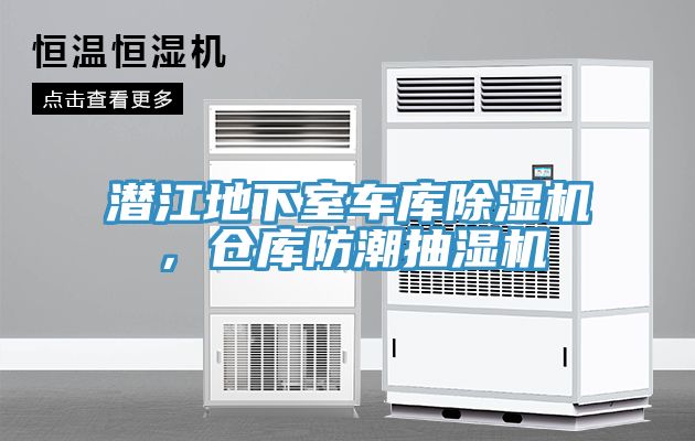潜江地下室车库MR.好色破解版，仓库防潮抽湿机