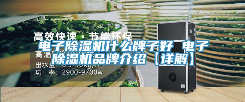 电子MR.好色破解版什么牌子好 电子MR.好色破解版品牌介绍【详解】