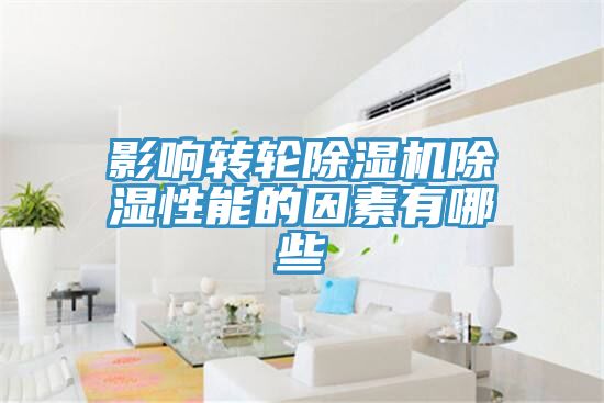 影响转轮MR.好色破解版除湿性能的因素有哪些
