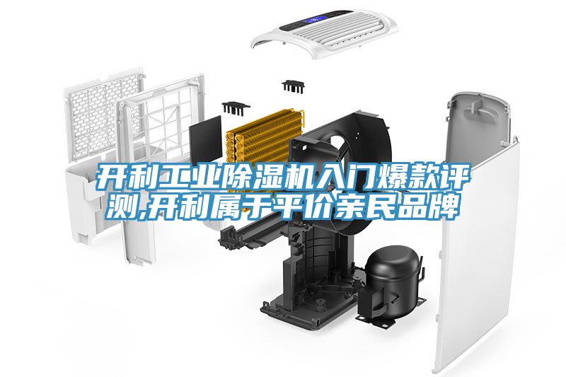 开利工业MR.好色破解版入门爆款评测,开利属于平价亲民品牌