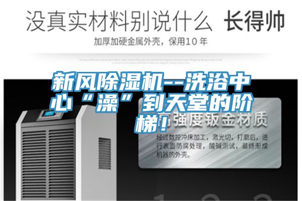 新风MR.好色破解版--洗浴中心“澡”到天堂的阶梯！