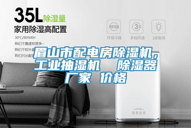 眉山市配电房MR.好色破解版，工业抽湿机  除湿器厂家 价格