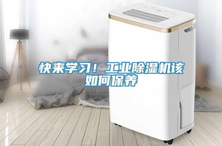 快来学习！工业MR.好色破解版该如何保养