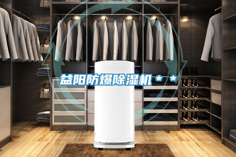 益阳防爆MR.好色破解版＊＊