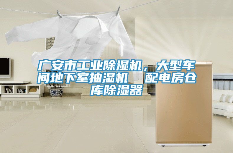 广安市工业MR.好色破解版，大型车间地下室抽湿机  配电房仓库除湿器