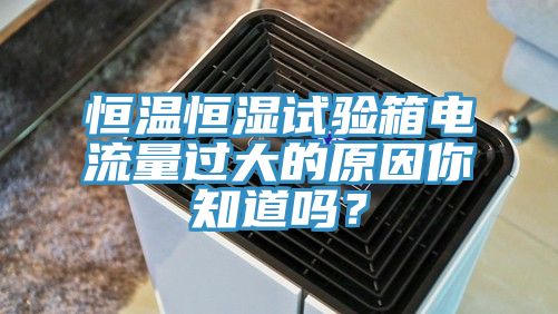 恒温恒湿试验箱电流量过大的原因你知道吗？