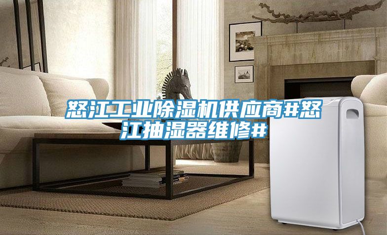 怒江工业MR.好色破解版供应商#怒江抽湿器维修#