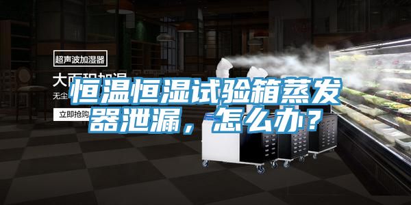 恒温恒湿试验箱蒸发器泄漏，怎么办？