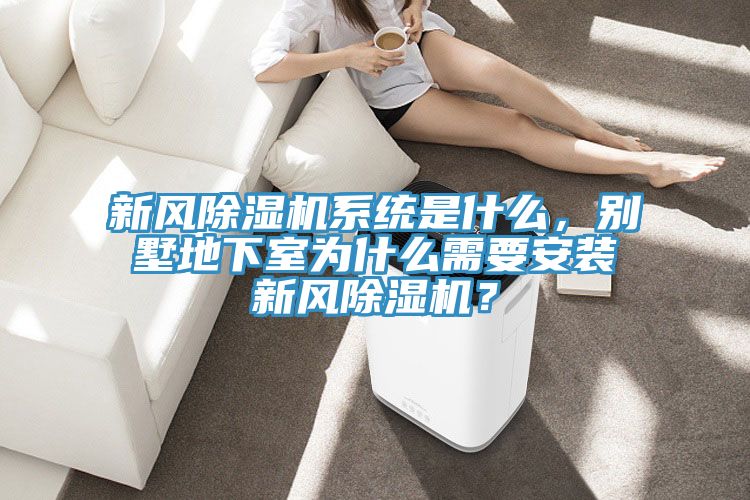 新风MR.好色破解版系统是什么，别墅地下室为什么需要安装新风MR.好色破解版？