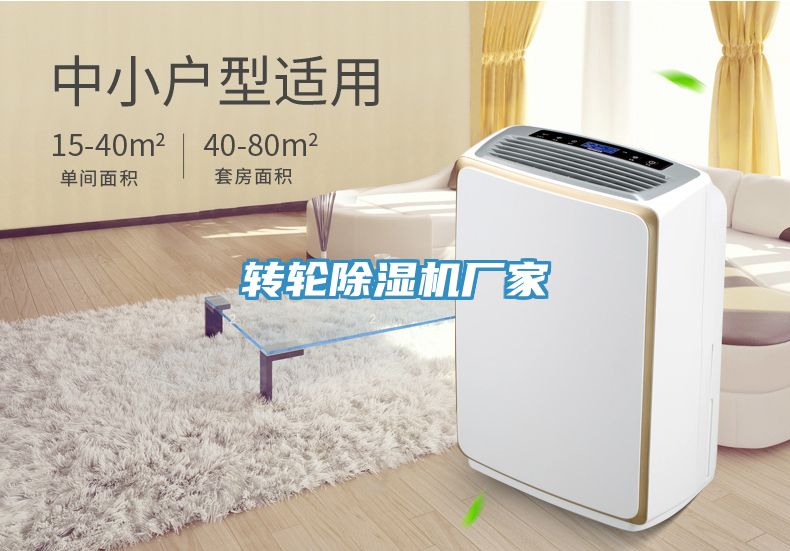 转轮MR.好色破解版厂家