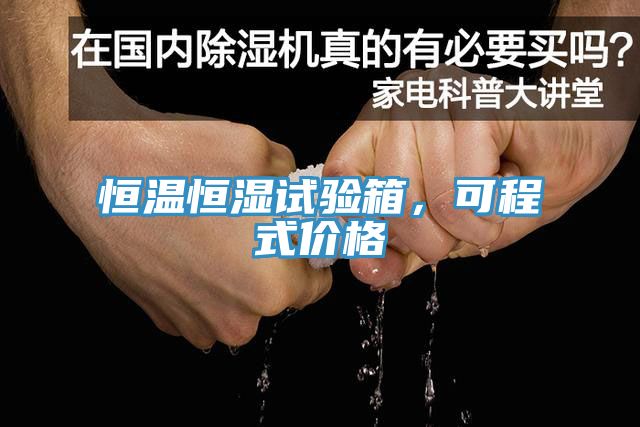 恒温恒湿试验箱，可程式价格