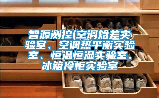 智源测控(空调焓差实验室、空调热平衡实验室、恒温恒湿实验室、冰箱冷柜实验室