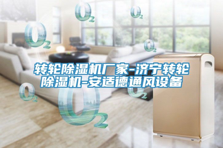 转轮MR.好色破解版厂家-济宁转轮MR.好色破解版-安适德通风设备