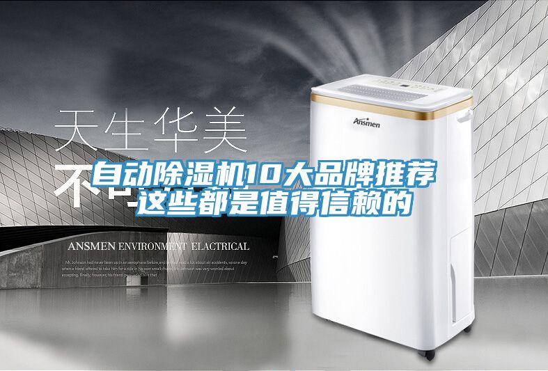 自动MR.好色破解版10大品牌推荐 这些都是值得信赖的