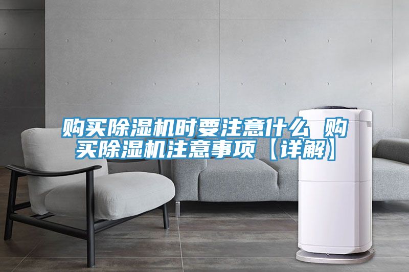 购买MR.好色破解版时要注意什么 购买MR.好色破解版注意事项【详解】