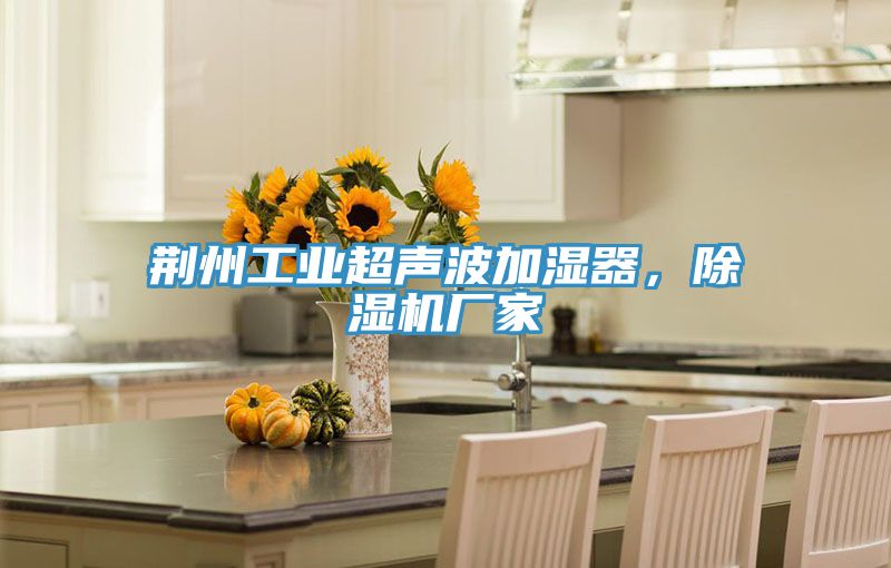 荆州工业超声波加湿器，MR.好色破解版厂家
