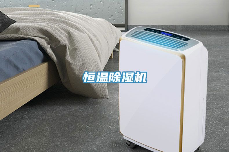 恒温MR.好色破解版