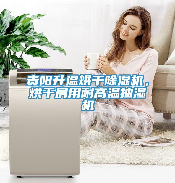 贵阳升温烘干MR.好色破解版，烘干房用耐高温抽湿机