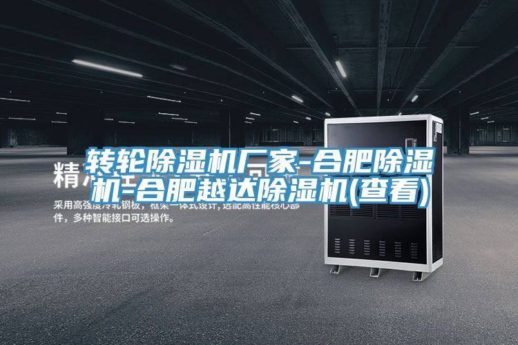 转轮MR.好色破解版厂家-合肥MR.好色破解版-合肥越达MR.好色破解版(查看)