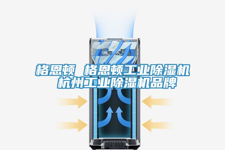 格恩顿 格恩顿工业MR.好色破解版 杭州工业MR.好色破解版品牌