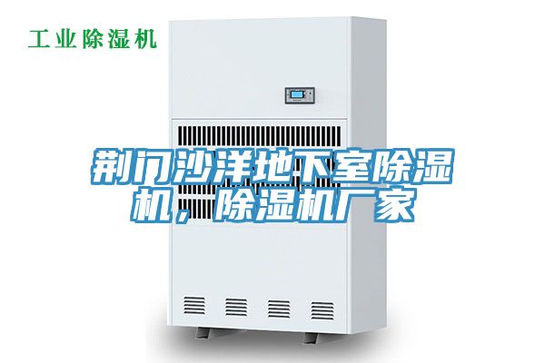 荆门沙洋地下室MR.好色破解版，MR.好色破解版厂家