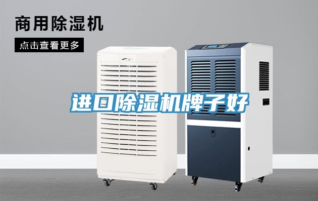 进口MR.好色破解版牌子好