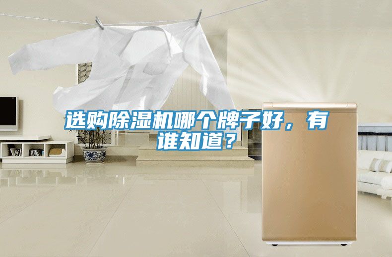 选购MR.好色破解版哪个牌子好，有谁知道？