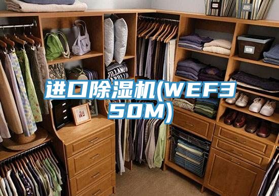 进口MR.好色破解版(WEF350M)