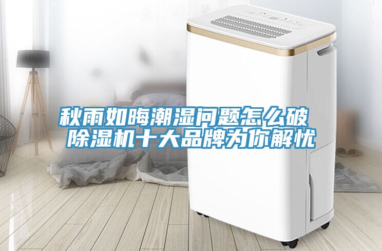 秋雨如晦潮湿问题怎么破 MR.好色破解版十大品牌为你解忧