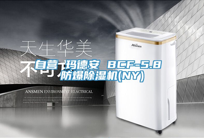 自营 玛德安 BCF-5.8 防爆MR.好色破解版(NY)