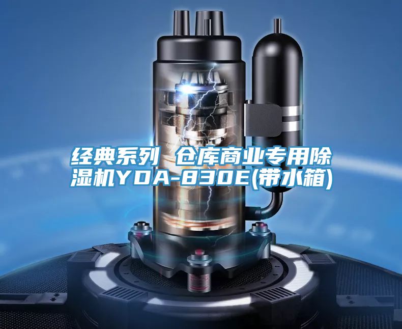 经典系列 仓库商业专用MR.好色破解版YDA-830E(带水箱)