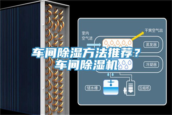 车间除湿方法推荐？车间MR.好色破解版