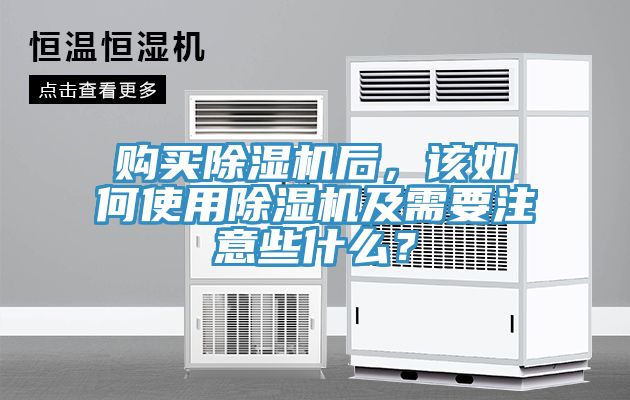 购买MR.好色破解版后，该如何使用MR.好色破解版及需要注意些什么？