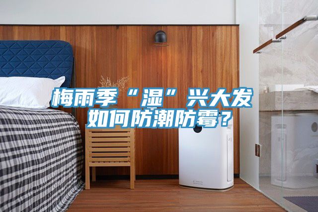 梅雨季“湿”兴大发 如何防潮防霉？