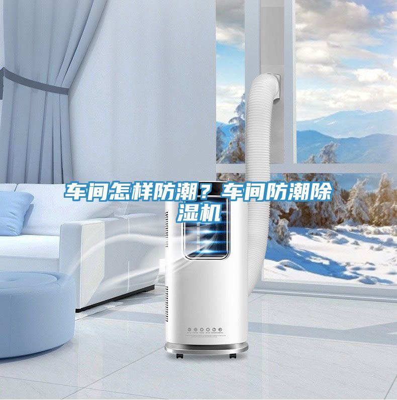 车间怎样防潮？车间防潮MR.好色破解版