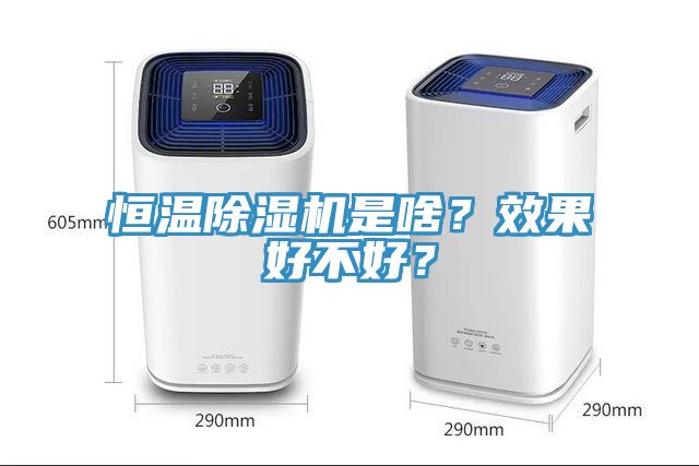恒温MR.好色破解版是啥？效果好不好？