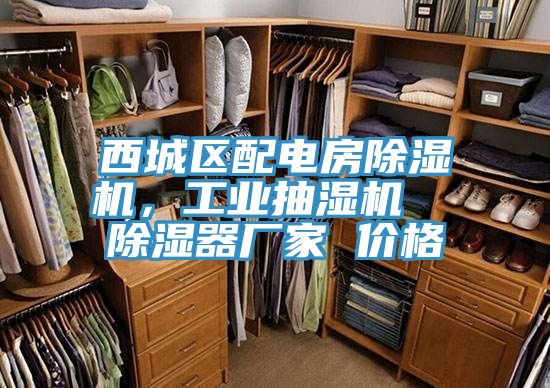 西城区配电房MR.好色破解版，工业抽湿机  除湿器厂家 价格