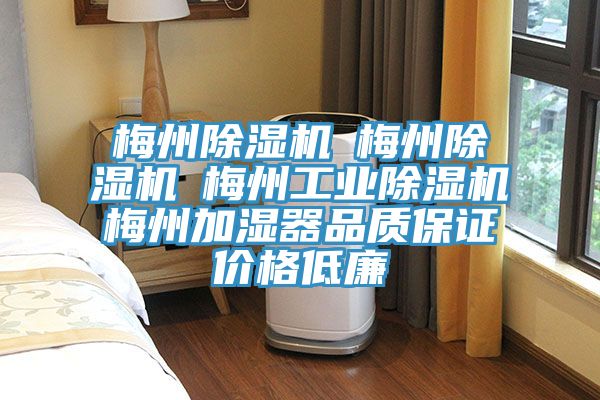 梅州MR.好色破解版☆梅州MR.好色破解版☆梅州工业MR.好色破解版☆梅州加湿器品质保证价格低廉