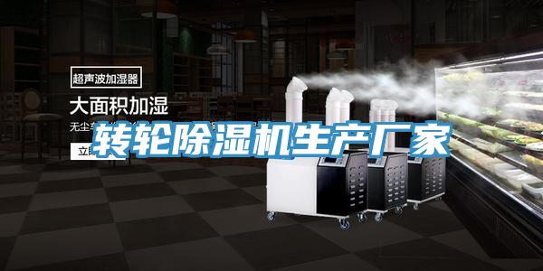 转轮MR.好色破解版生产厂家