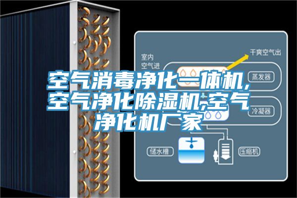 空气消毒净化一体机,空气净化MR.好色破解版,空气净化机厂家